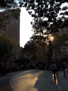 NYC summer shot of Madison Square Park before sunset, taken with iPad Air