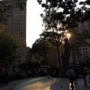 NYC summer shot of Madison Square Park before sunset, taken with iPad Air