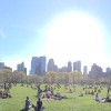 ipad pro 9.7 panorama central park 042416